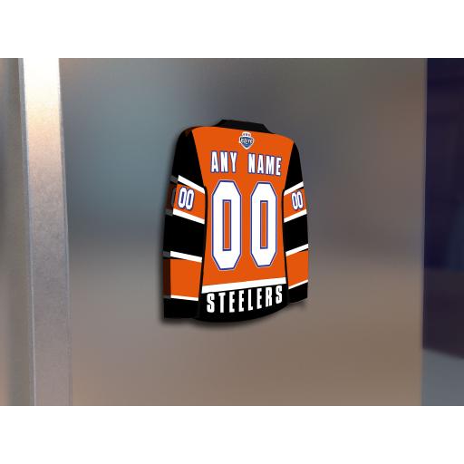 Sheffield Steelers FM.jpg